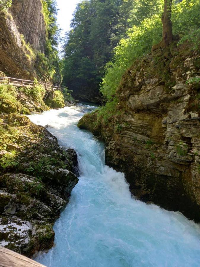 شقة أبارتما مارجيتيكا Blejska Dobrava المظهر الخارجي الصورة