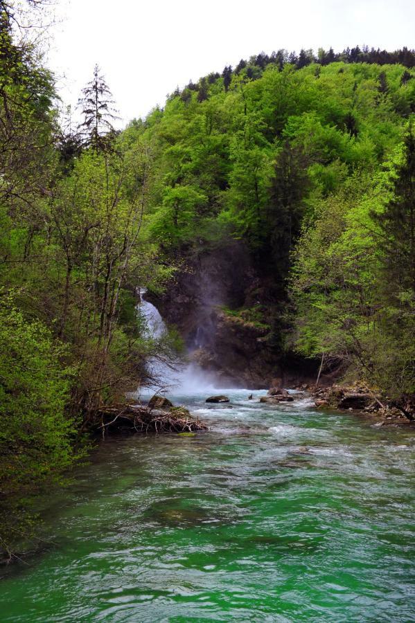 شقة أبارتما مارجيتيكا Blejska Dobrava المظهر الخارجي الصورة