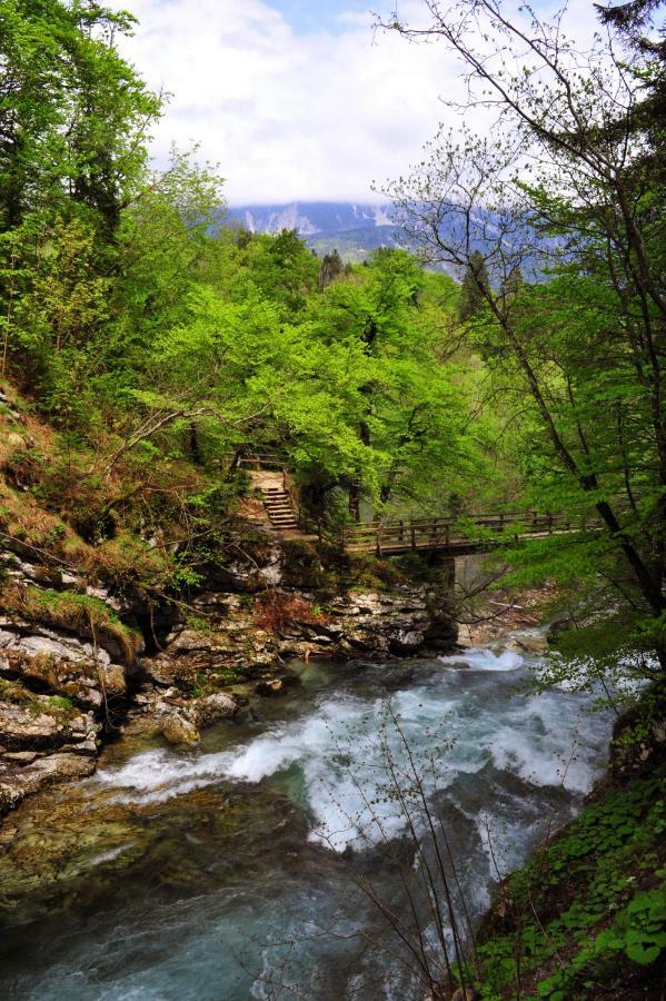 شقة أبارتما مارجيتيكا Blejska Dobrava المظهر الخارجي الصورة