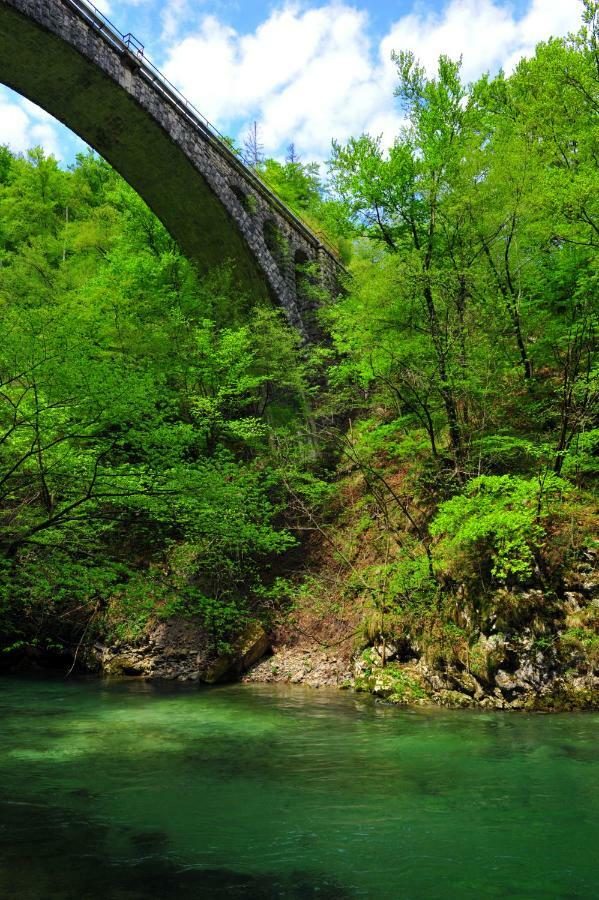 شقة أبارتما مارجيتيكا Blejska Dobrava المظهر الخارجي الصورة