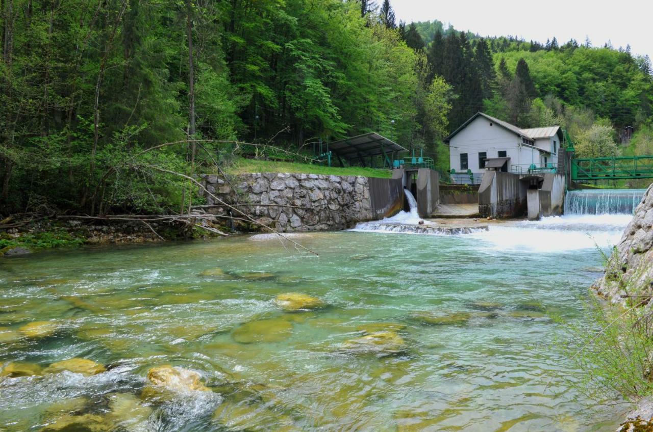 شقة أبارتما مارجيتيكا Blejska Dobrava المظهر الخارجي الصورة
